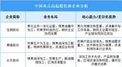 2025年中國(guó)高溫煤焦油重點(diǎn)企業(yè)業(yè)務(wù)布局分析(圖)