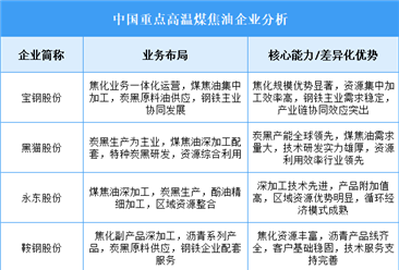 2025年中国高温煤焦油重点企业业务布局分析（图）