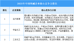 2025年中國(guó)純堿企業(yè)核心競(jìng)爭(zhēng)力排名