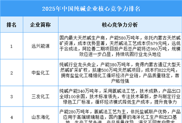 2025年中国纯碱企业核心竞争力排名