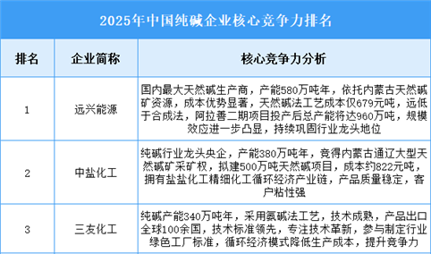2025年中国纯碱企业核心竞争力排名