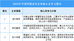 2025年中國(guó)智能家電企業(yè)核心競(jìng)爭(zhēng)力排名