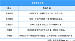 2025年中國先進(jìn)封裝行業(yè)市場(chǎng)前景預(yù)測(cè)研究報(bào)告(簡(jiǎn)版)