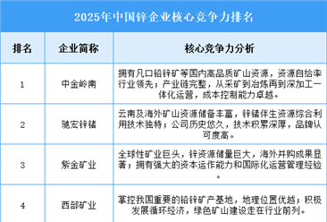 2025年中国锌企业核心竞争力排名