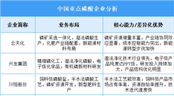 2025年中國(guó)磷酸重點(diǎn)企業(yè)業(yè)務(wù)布局分析（圖）