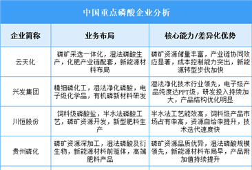 2025年中國磷酸重點(diǎn)企業(yè)業(yè)務(wù)布局分析（圖）