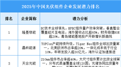 2025年中国光伏组件企业发展潜力排名