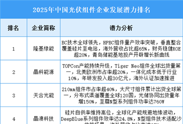 2025年中国光伏组件企业发展潜力排名