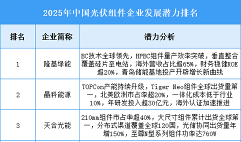 2025年中国光伏组件企业发展潜力排名