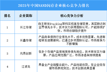 2025年中国NAND闪存企业核心竞争力排名
