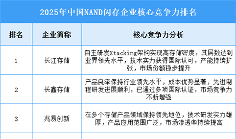 2025年中国NAND闪存企业核心竞争力排名
