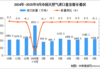 2025年9月中国天然气进口数据统计分析：进口量1104.8万吨