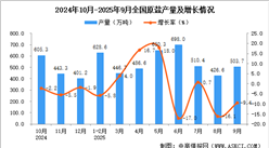 2025年9月全国原盐产量数据统计分析