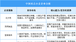 2025年中國小麥重點(diǎn)企業(yè)業(yè)務(wù)布局分析（圖）