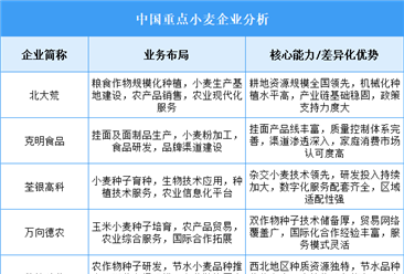 2025年中国小麦重点企业业务布局分析（图）
