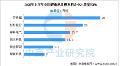 2025年上半年中国负极材料出货量及出货排名分析（图）