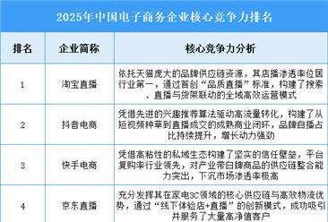 2025年中国电子商务企业核心竞争力排名
