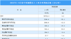 2025年1-9月全國規(guī)上工業(yè)企業(yè)利潤總額情況：制造業(yè)利潤總額同比增長9.9%（圖）