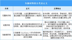 2025年中國(guó)負(fù)極材料行業(yè)市場(chǎng)前景預(yù)測(cè)研究報(bào)告（簡(jiǎn)版）