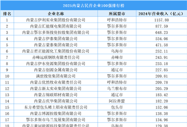 2025內(nèi)蒙古民營(yíng)企業(yè)100強(qiáng)排行榜（附榜單）