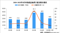 2025年1-9月中國成品油進口數(shù)據(jù)統(tǒng)計分析：進口量3068萬噸
