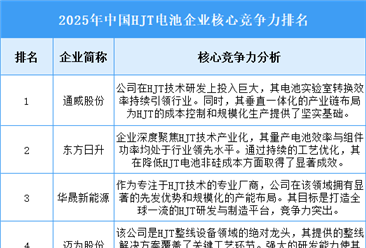 2025年中国HJT电池企业核心竞争力排名