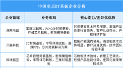 2025年中國(guó)BT基板重點(diǎn)企業(yè)業(yè)務(wù)布局分析（圖）