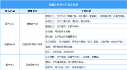 2025年中國(guó)氯堿化工行業(yè)市場(chǎng)前景預(yù)測(cè)研究報(bào)告（簡(jiǎn)版）