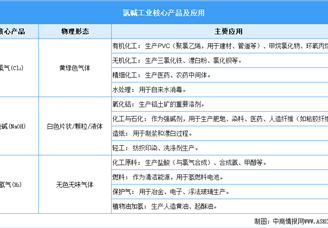 2025年中國氯堿化工行業(yè)市場前景預(yù)測研究報告（簡版）