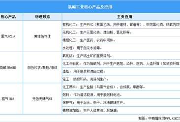 2025年中国氯碱化工行业市场前景预测研究报告（简版）