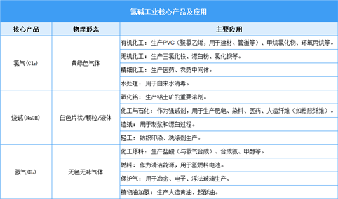 2025年中国氯碱化工行业市场前景预测研究报告（简版）