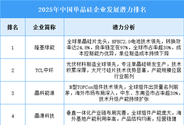 2025年中国单晶硅企业发展潜力排名