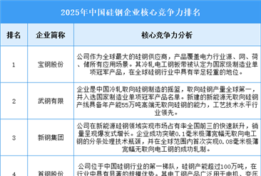 2025年中国硅钢企业核心竞争力排名