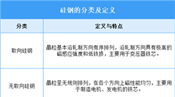 2025年中國(guó)硅鋼行業(yè)市場(chǎng)前景預(yù)測(cè)研究報(bào)告（簡(jiǎn)版）