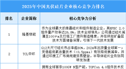 2025年中國光伏硅片企業(yè)核心競爭力排名