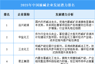 2025年中国液碱企业发展潜力排名