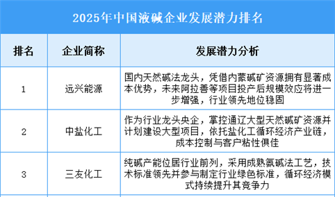 2025年中国液碱企业发展潜力排名