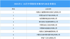 產(chǎn)業(yè)投資情報(bào)：2025年1-10月中國投資拿地TOP100企業(yè)排行榜（產(chǎn)業(yè)篇）