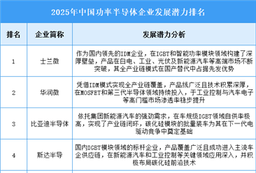 2025年中国功率半导体企业发展潜力排名