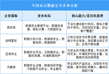 2025年中國(guó)數(shù)據(jù)安全重點(diǎn)企業(yè)業(yè)務(wù)布局分析（圖）