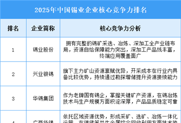 2025年中国锡业企业核心竞争力排名