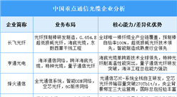 2025年中國通信光纜重點企業(yè)業(yè)務布局分析（圖）
