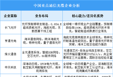2025年中國(guó)通信光纜重點(diǎn)企業(yè)業(yè)務(wù)布局分析（圖）