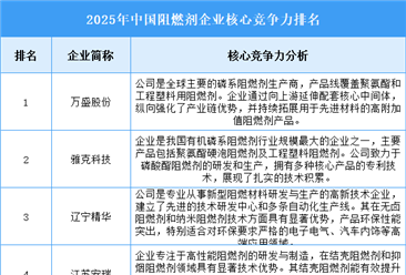2025年中国阻燃剂企业核心竞争力排名
