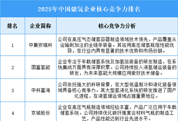 2025年中国储氢企业核心竞争力排名