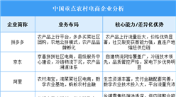 2025年中國農(nóng)村電商重點(diǎn)企業(yè)業(yè)務(wù)布局分析（圖）