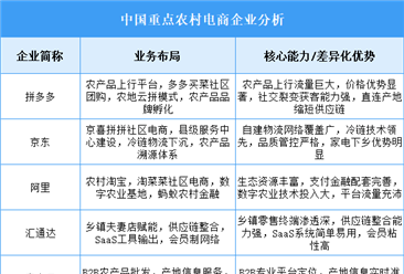 2025年中国农村电商重点企业业务布局分析（图）