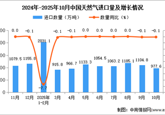 2025年10月中国天然气进口数据统计分析：进口量977.6万吨