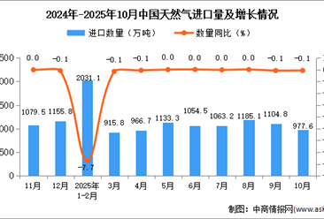 2025年10月中国天然气进口数据统计分析：进口量977.6万吨