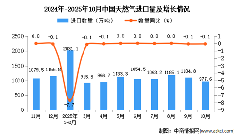 2025年10月中国天然气进口数据统计分析：进口量977.6万吨
